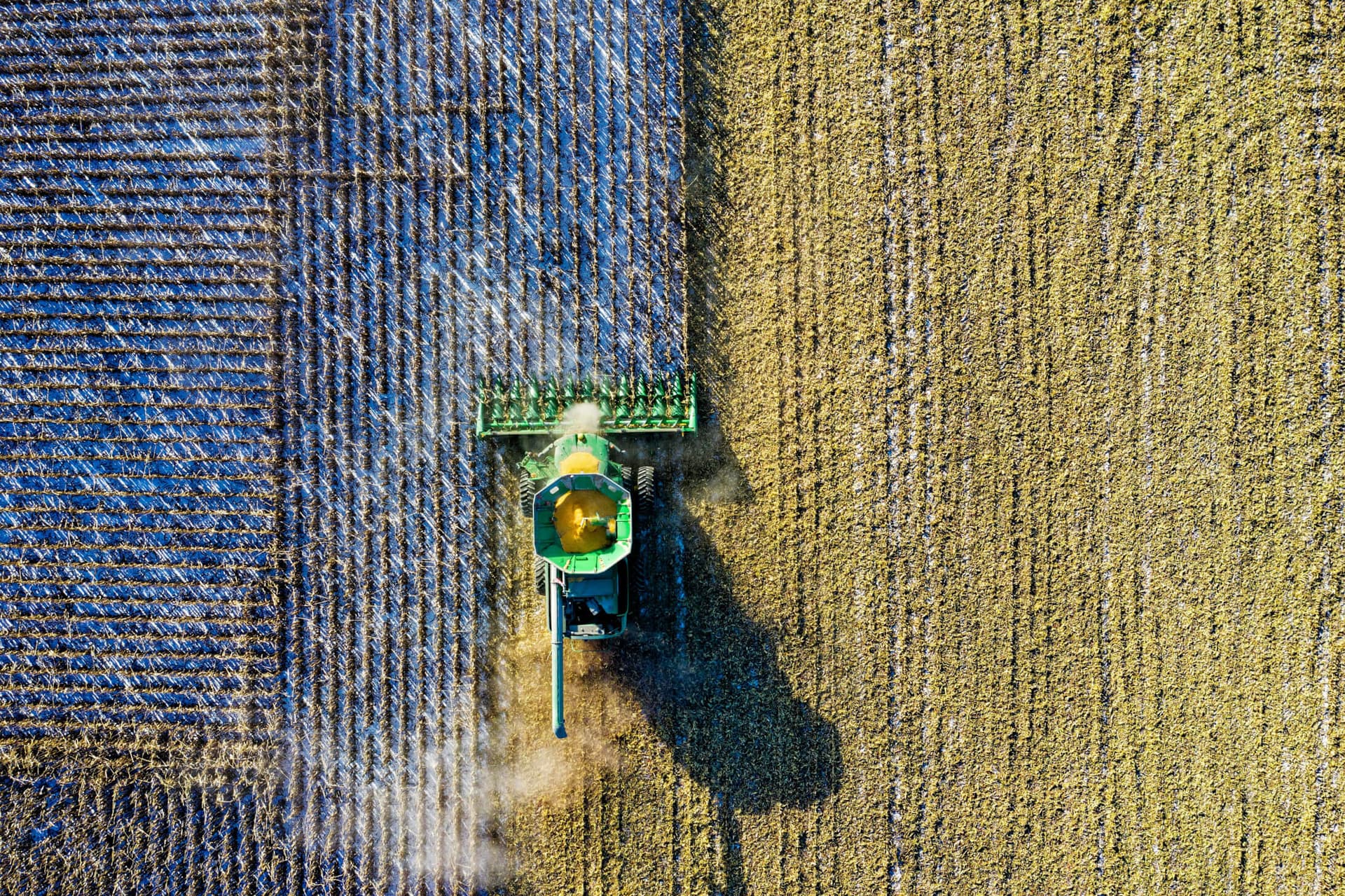 AI-Driven Agriculture main picture